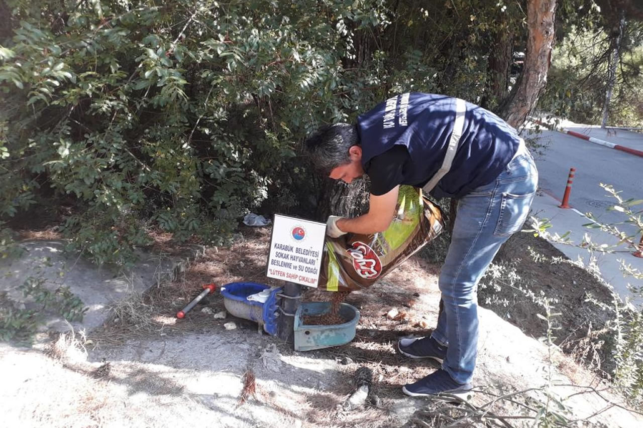 Karabük Belediyesi Sokak Hayvanlarını 4 Ekim Hayvanları Koruma Gününde de Unutmadı