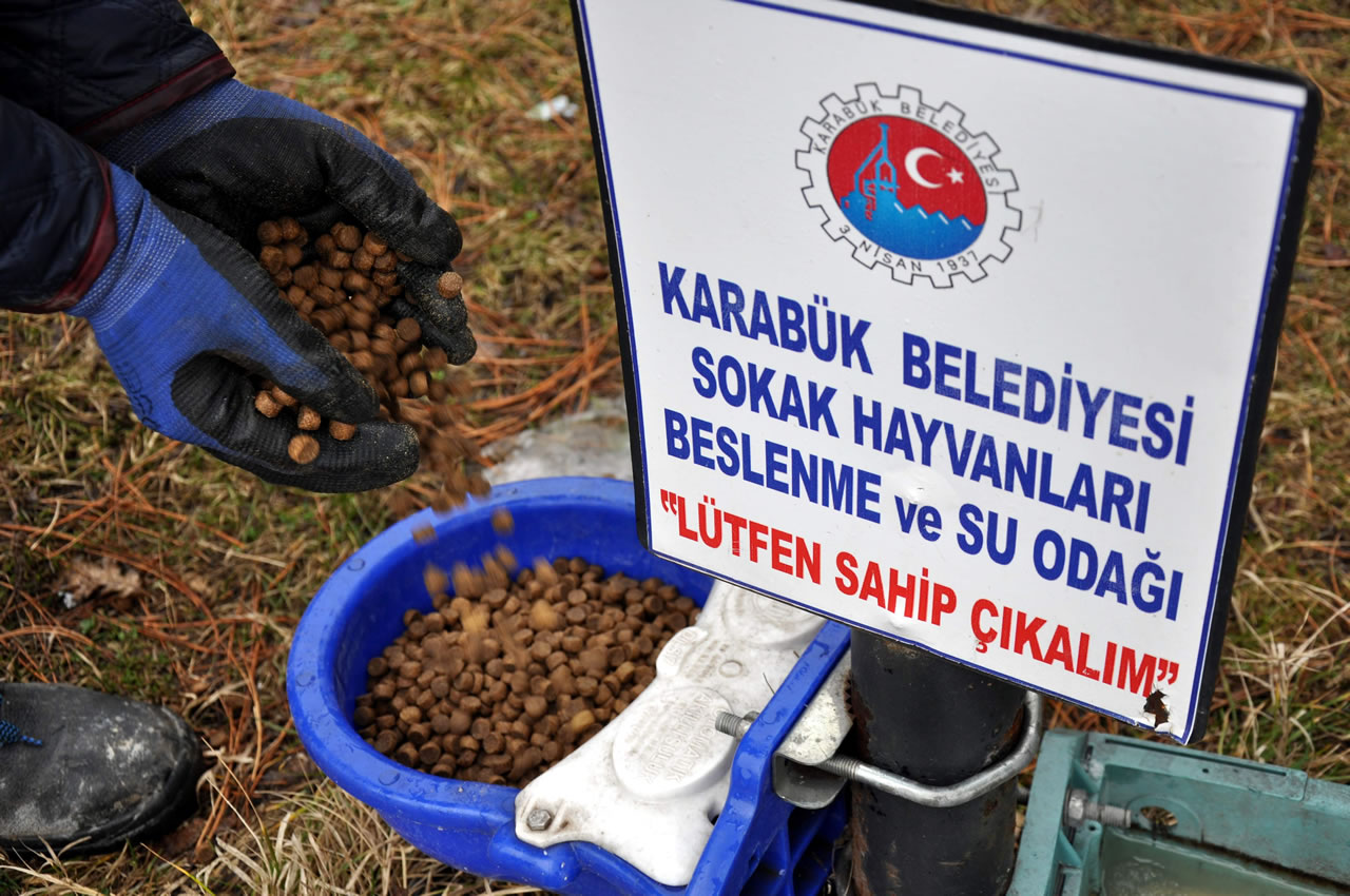 Karabük Belediyesi Sokak Hayvanlarını Ramazan Bayramında da Unutmadı