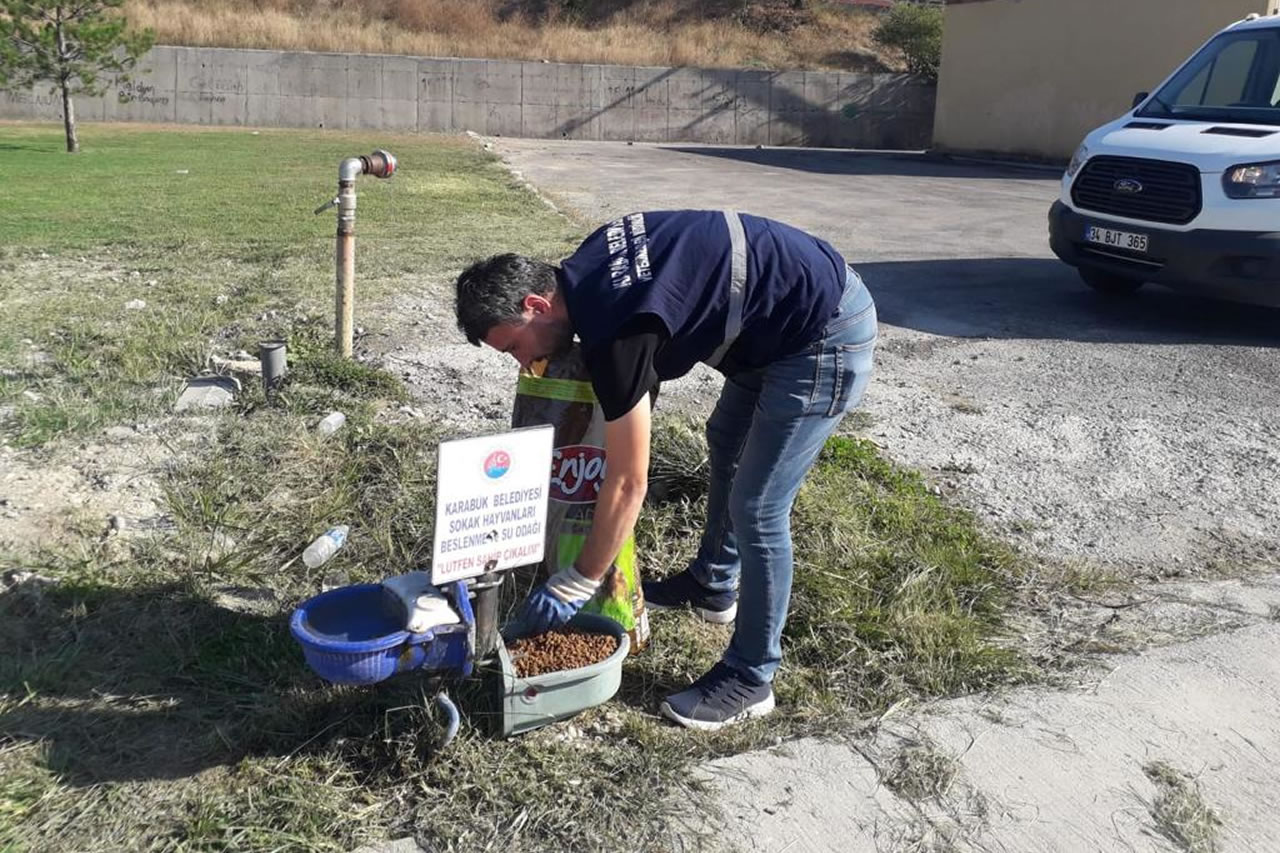 Karabük Belediyesi Sokak Hayvanlarını 4 Ekim Hayvanları Koruma Gününde de Unutmadı