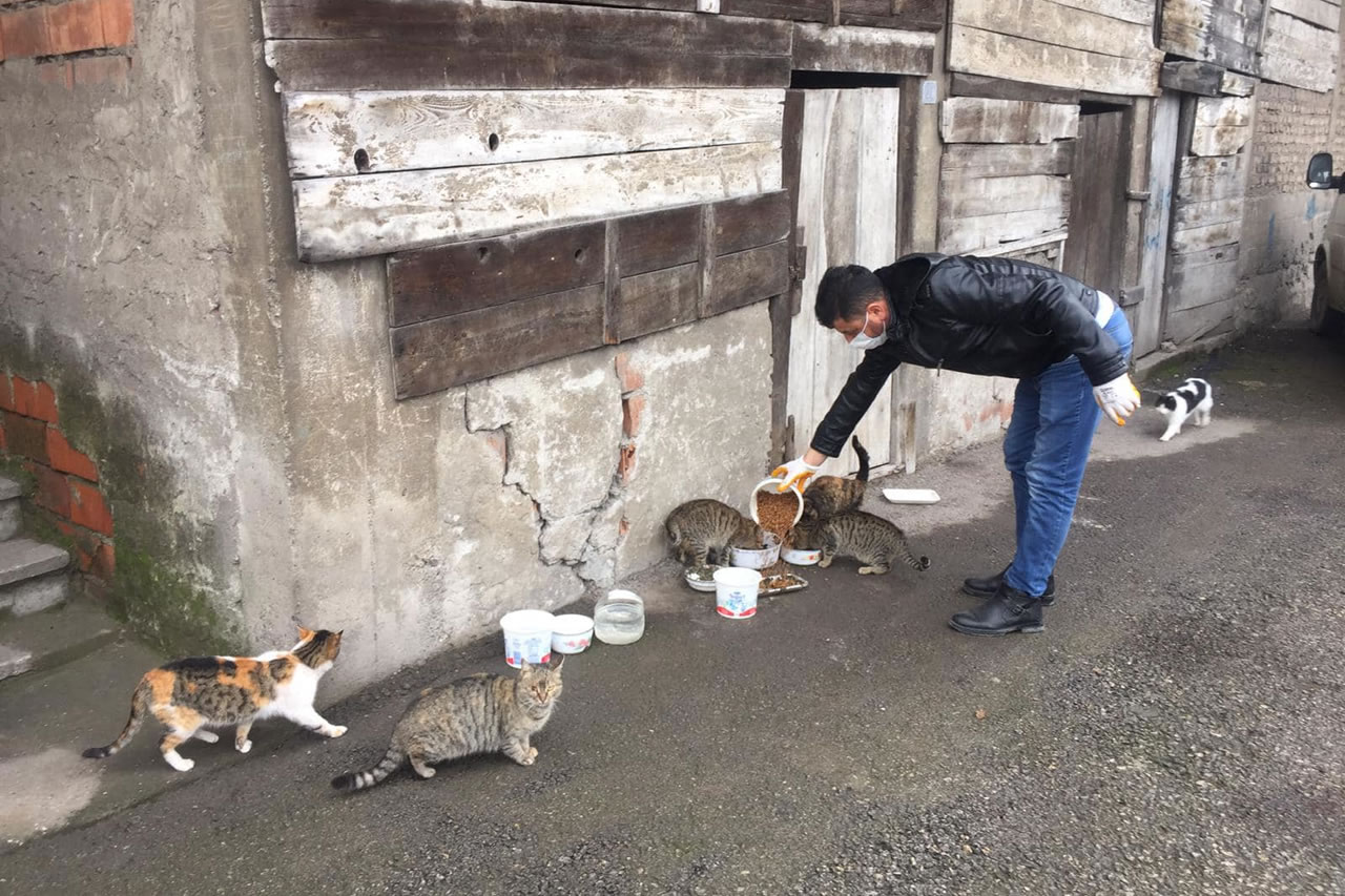 Can Dostlara Mama Bırakımı Kış Ayında da Devam Ediyor