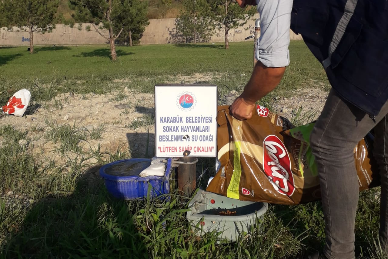 Karabük’ün Çeşitli Bölgelerinde Sokak Hayvanlarına Kuru Mama Bırakıldı